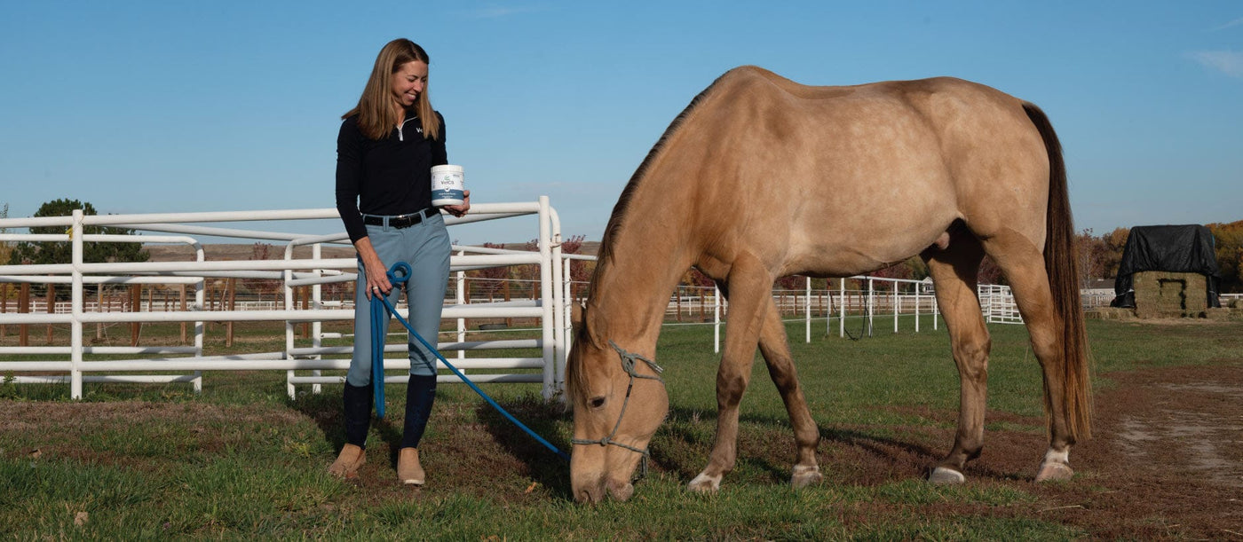 Dr. Chelsea standing next to a horse in an outdoor setting with a white fence and clear sky.