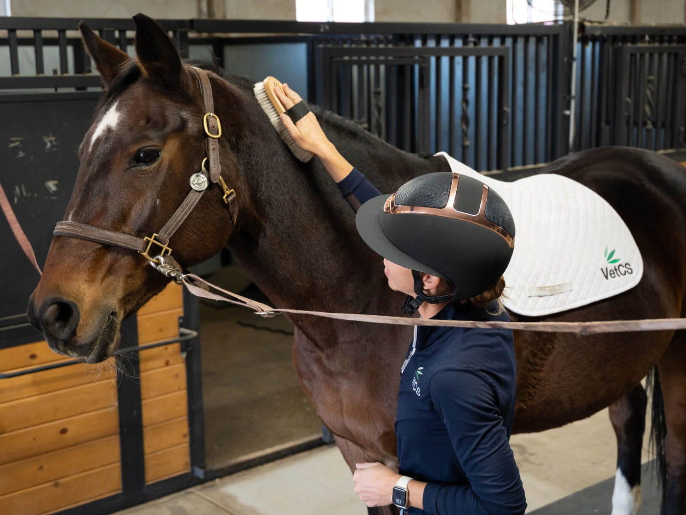Person grooming a horse in a stable