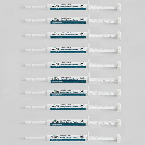 VetCS 10-pack CBD hemp extract paste for horses – 500mg CBD per syringe, 4 doses each