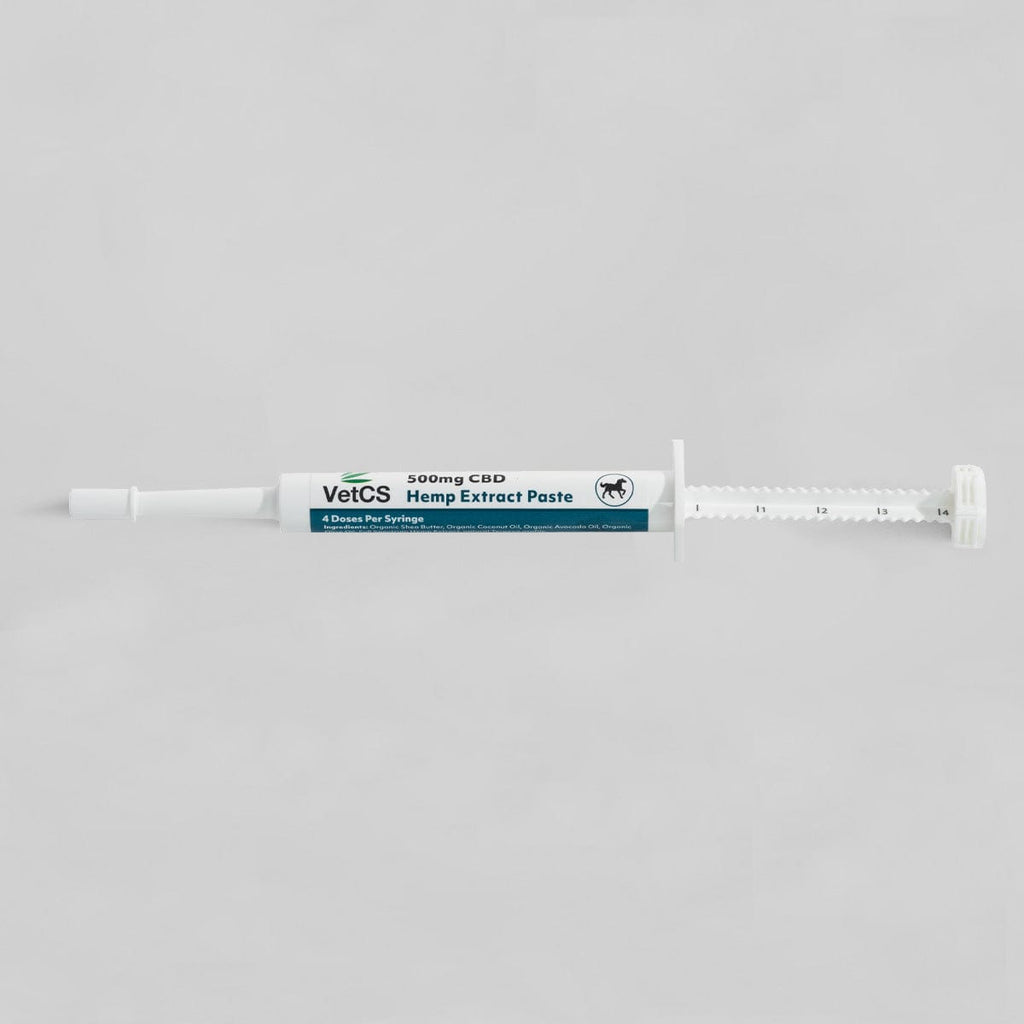VetCS 500mg CBD hemp extract paste for horses – single syringe with 4 doses