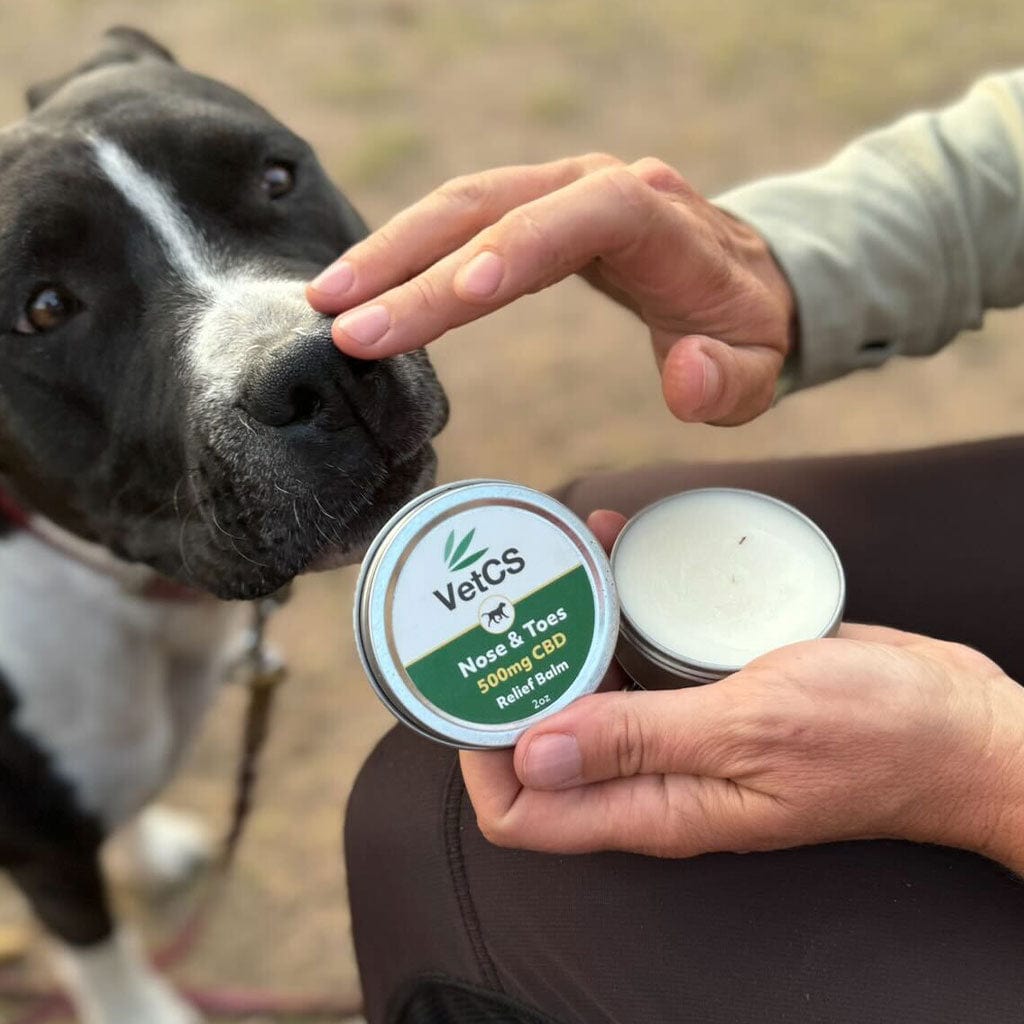 human hand putting vetcs nose and toes on a dog's nose. 