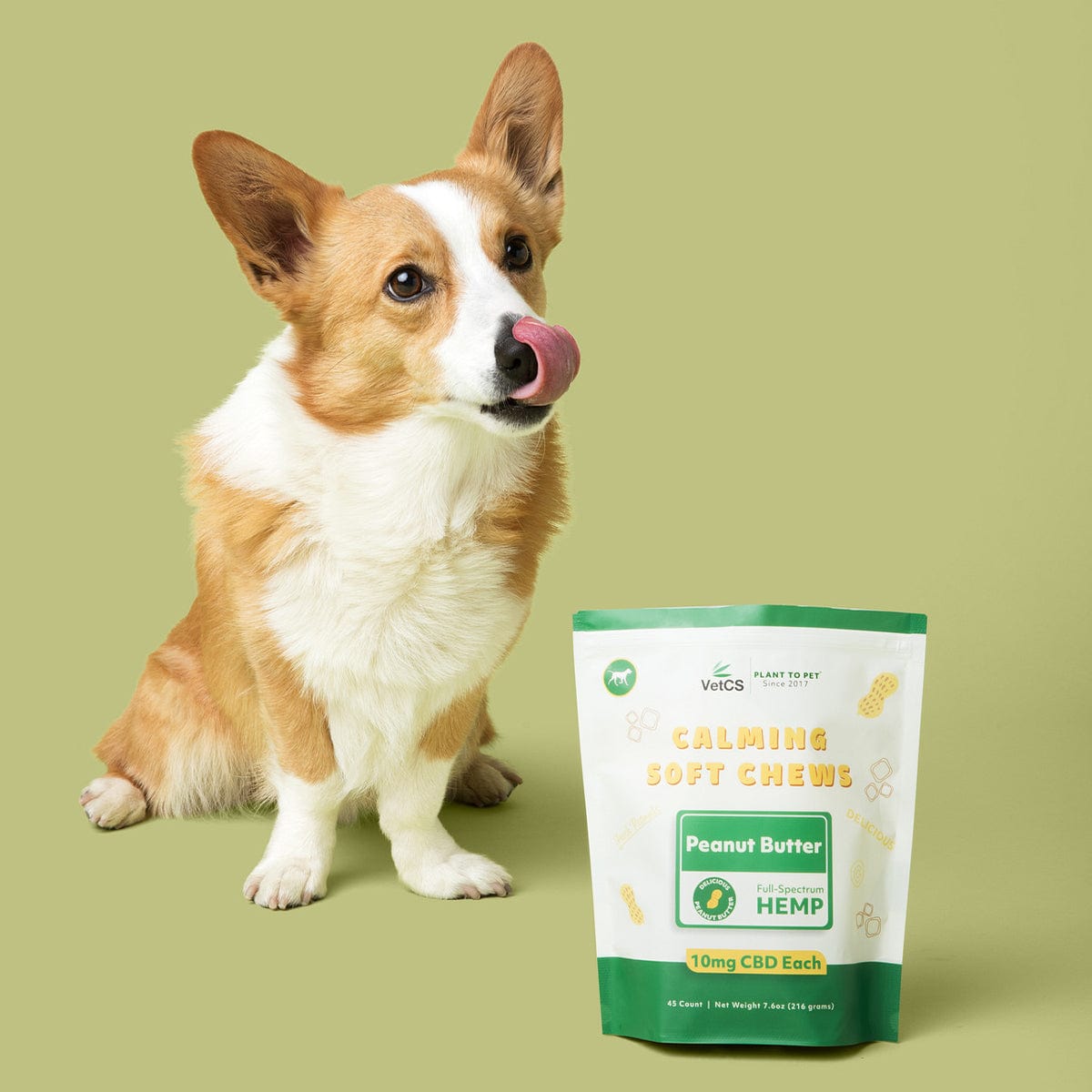 VetCS calming soft chews peanut butter flavor with white and light brown corgie in background 