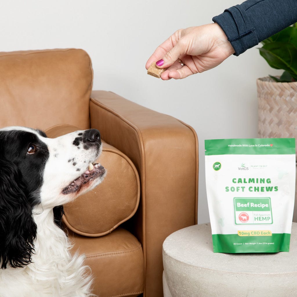 VetCS CBD calming soft chews for dogs