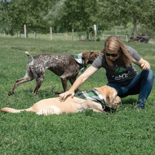 VetCS Cofounder Chelsea petting a yellow lab in a park