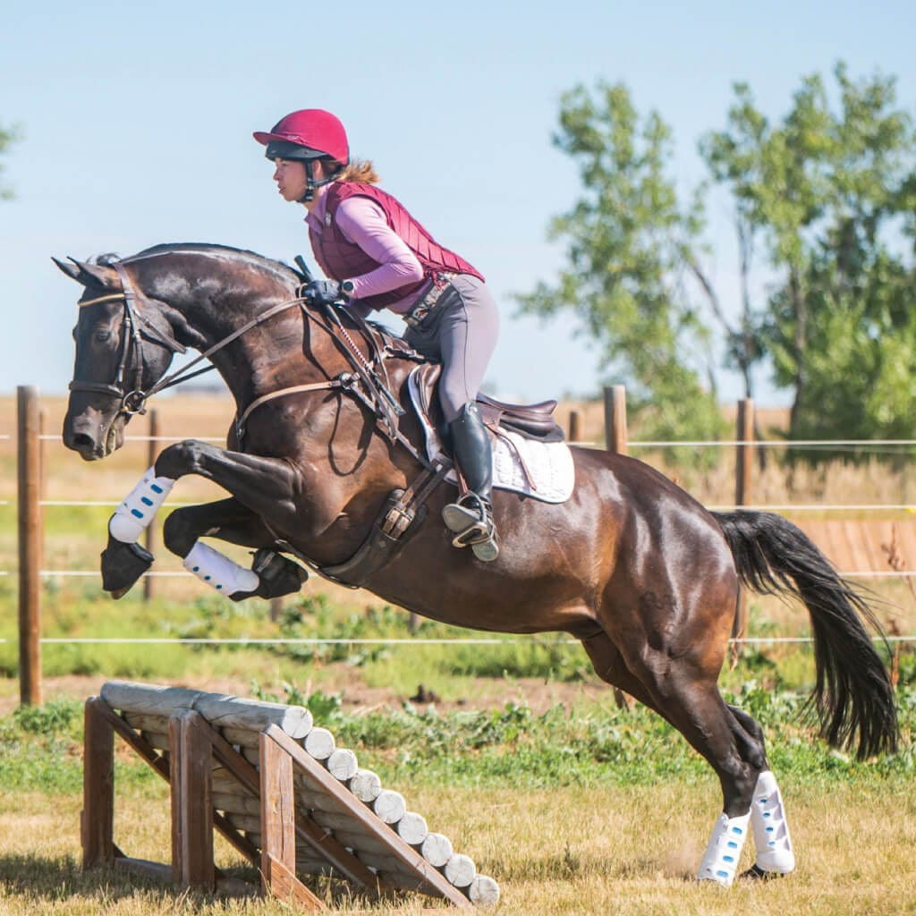 image of women on horse jumping