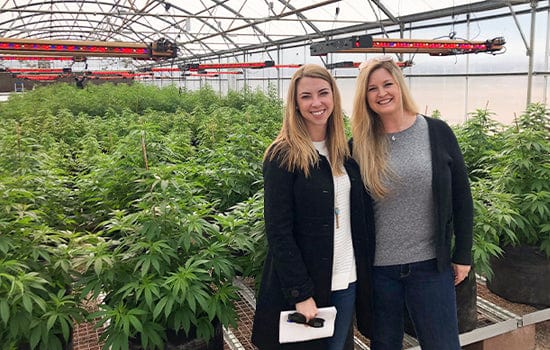 VetCS co-founders Dr. Chelsea Luedke and Trish Wilhelm standing in a greenhouse full of hemp plants, highlighting the roots of their veterinarian-led CBD journey.
