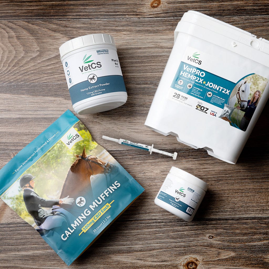 Hero image showing VetCS full lineup of CBD products for horses – calming muffins, paste syringes, joint pellets, and hemp extract powder