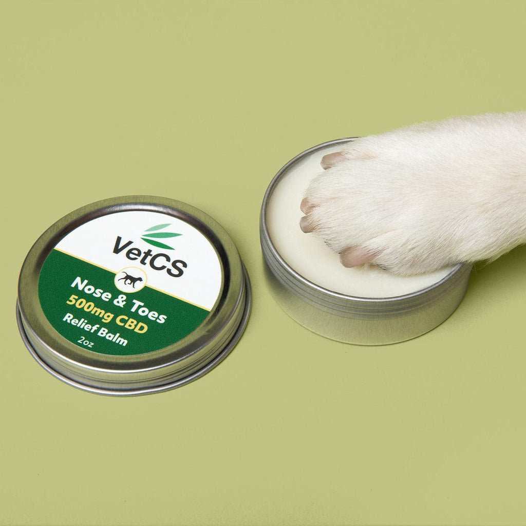 Dog paw applying VetCS Nose & Toes CBD relief balm – 500mg CBD in 2oz tin