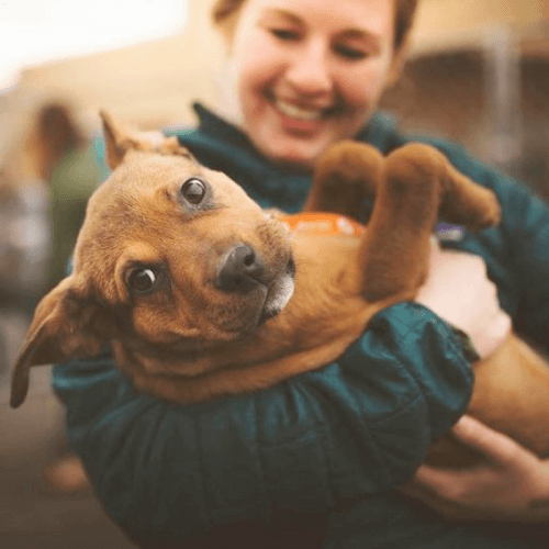 person holding a dog at Project Thrive shelter