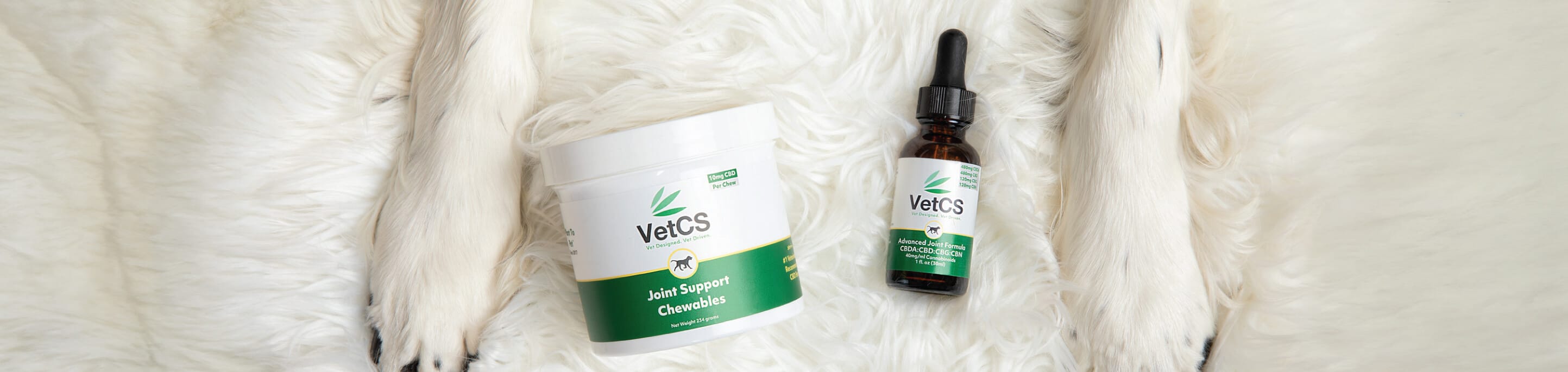 VetCS Joint support chewables and CBD tincture on a rug between a dog's paws.  