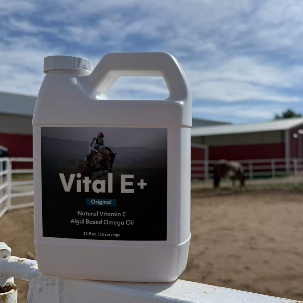 Vital E+ supplement container with a horse barn in the background