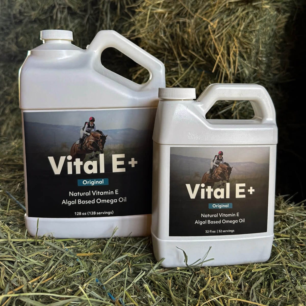 Two bottles of VetCS Vital E+ on a hay background