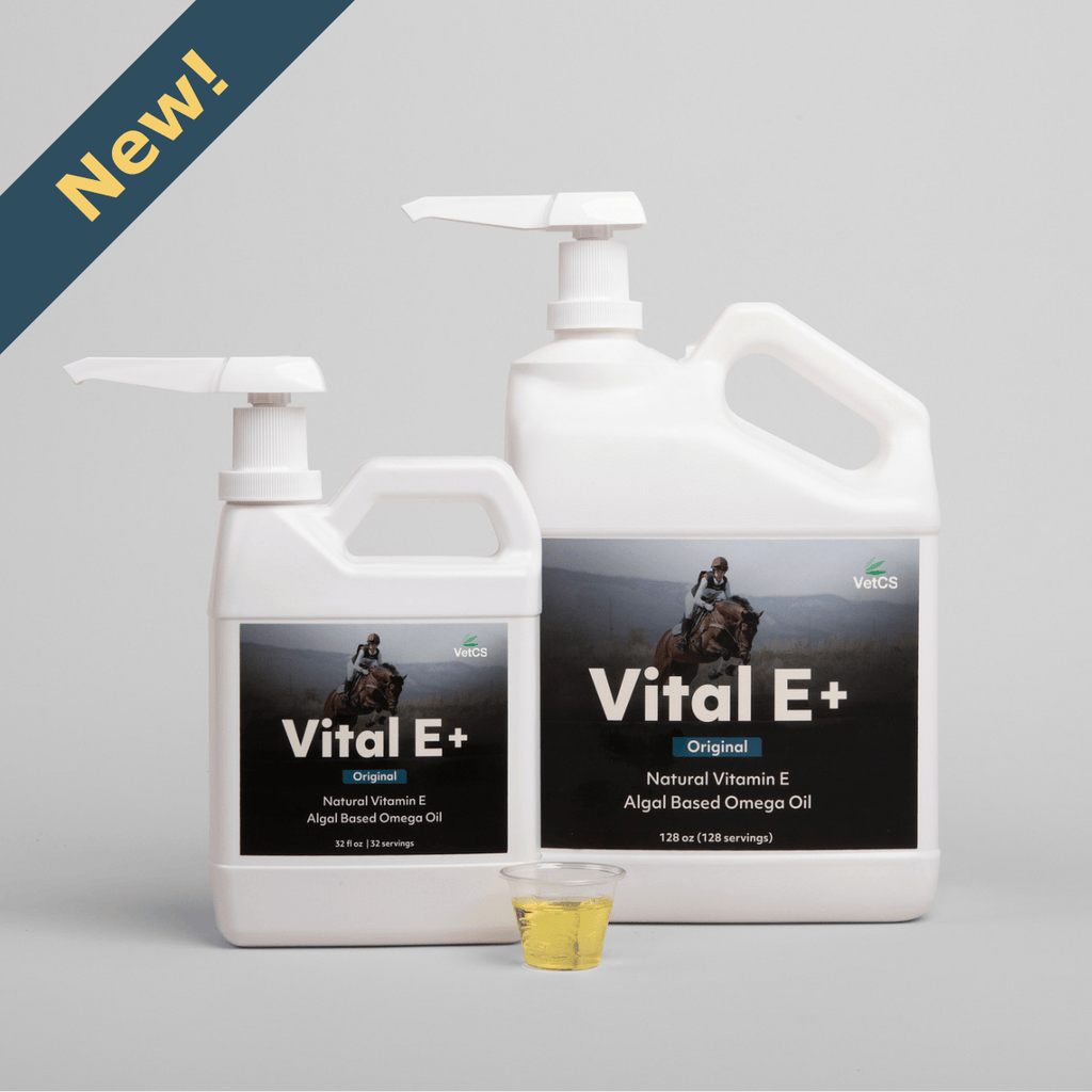Vital E+ Omega Oil and Vitamin E for Horses