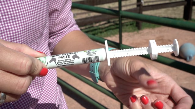 VetCS horse paste tutorial video