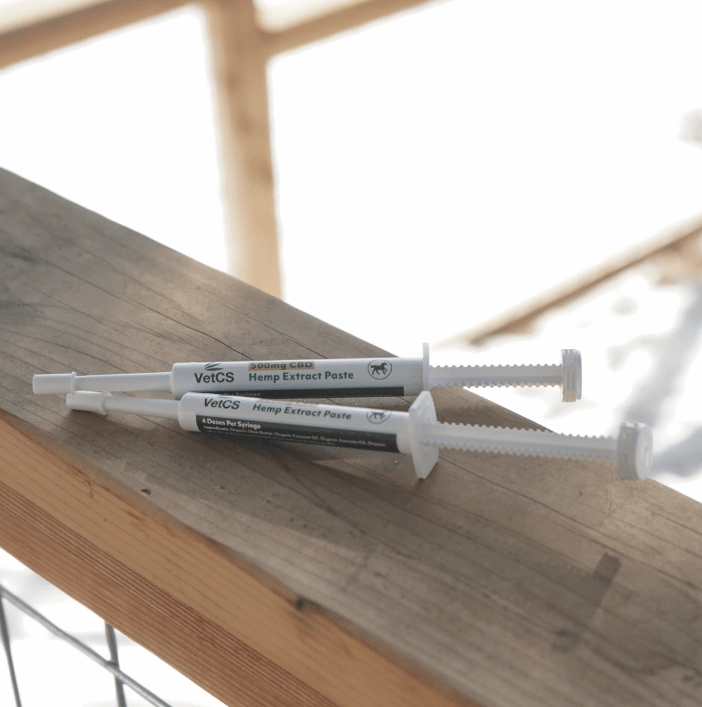 two 500mg CBD syringe paste for horses