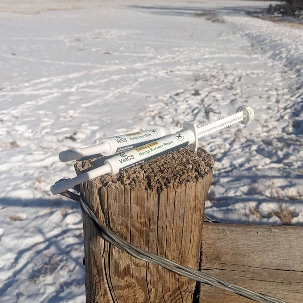 VetCS 500mg cbd paste for horses syringe