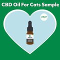 VetCS 500mg CBD oil for cats sample size bottle 10ml