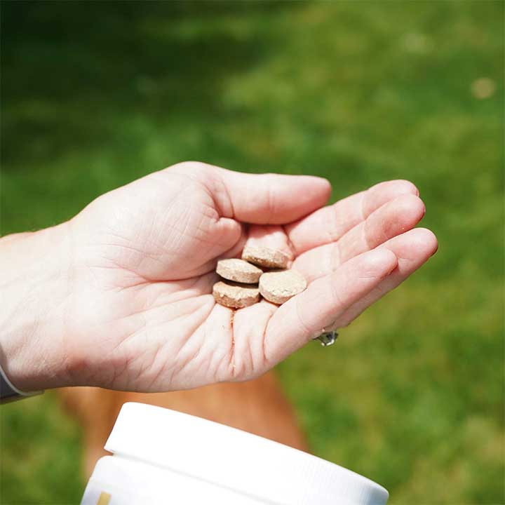 CBD dog chews in a women's hand 