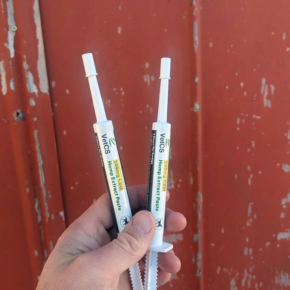 VetCS 500mg cbd paste for horses syringe
