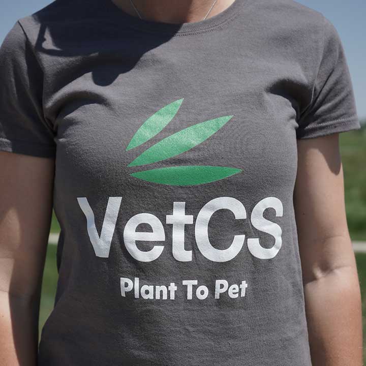 VetCS Logo T-Shirt Light Grey 
